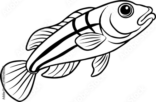 Blenny fish outline vector illustration line art
