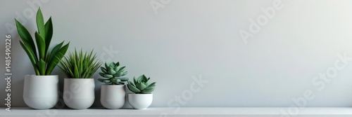 Minimalist succulents in pots, gray wall background , details, bedroom, minimalist
