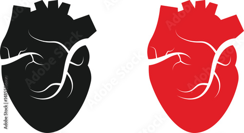 illustration of real heart vector on transparent background.