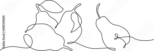 Abstract fruits drawing. Continuous one line art of fruits. pears mandarin pear peach fruit set. Vector minimalistic linear illustration.
