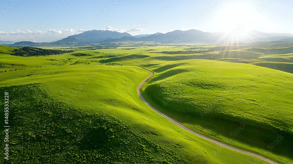 Obraz premium Green Meadow Road View