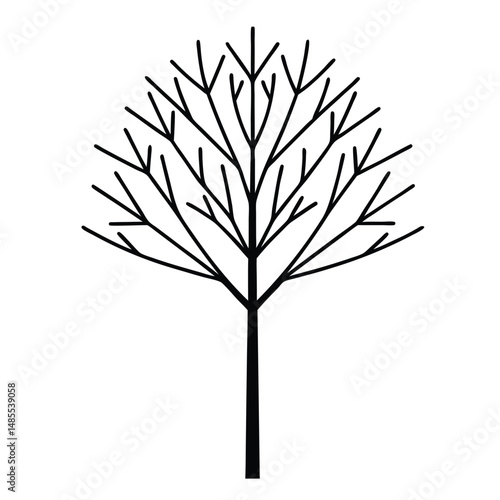 red osier dogwood tree line art vector on white background