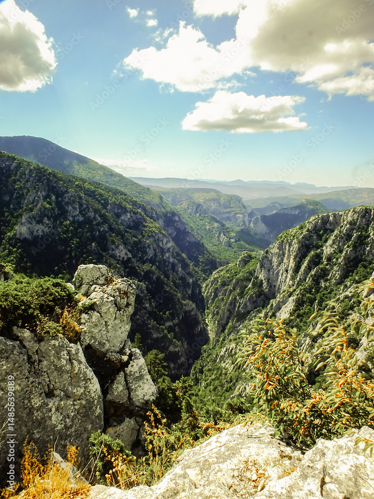 Fototapeta premium canyon view from the top of the mountain