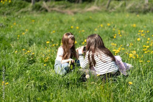 Two girls taking pictures with a camera while sitting in the grass in the middle of a dandelion field. Children's leisure concept