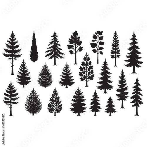 Silhouettes of Various Tree Types