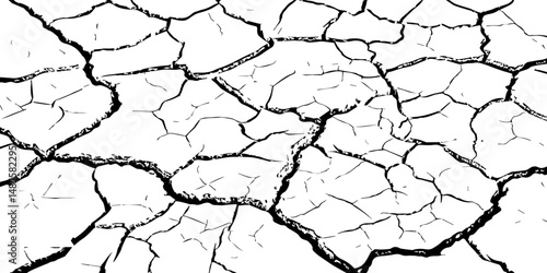 Cracked Earth Vector Texture with Transparent Background – High-Detail Grunge Overlay of Dry, Distressed Lines and Natural Ground Erosion
