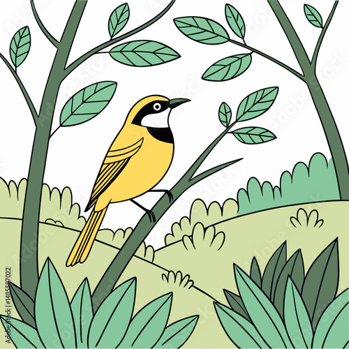 Golden Whistler bird in lush green bushland flat style vector