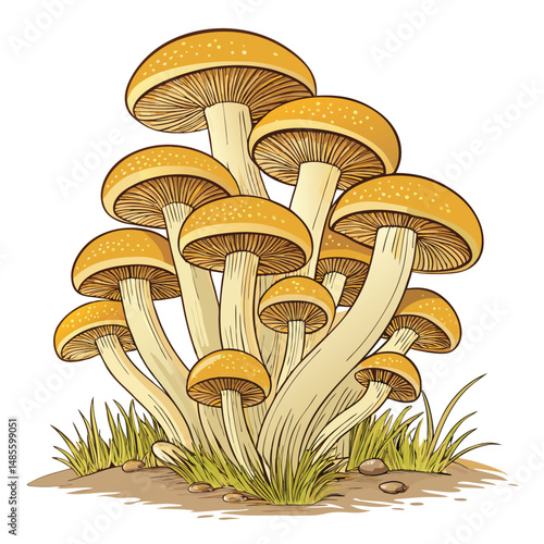 A close-up shot of a cluster of honey mushrooms, showcasing their golden-brown caps and delicate gills.  Focus on the texture and detail of the fungi.