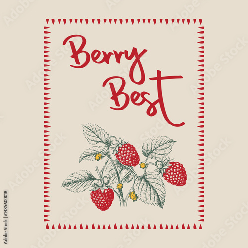 Strawberry hand drawn vector graphics, Strawberry graphic, vintage hand drawn fruits print design, fruit print artwork, summer t-shirt design, women's t-shirt , tops, sweatshirt fruit print design