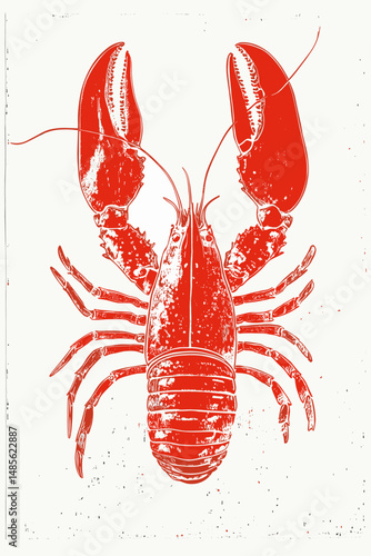 Vintage Lobster Illustration
