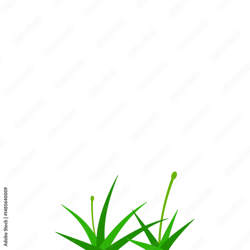 Fototapeta premium Green Grass Illstration