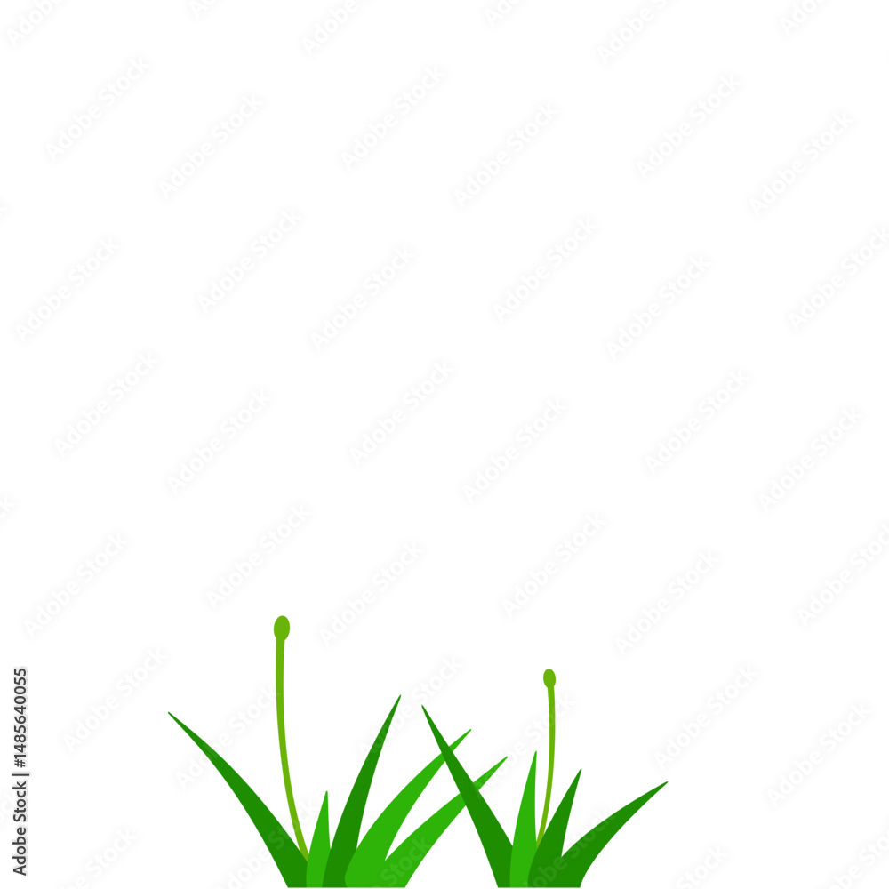 Fototapeta premium Green Grass Illstration