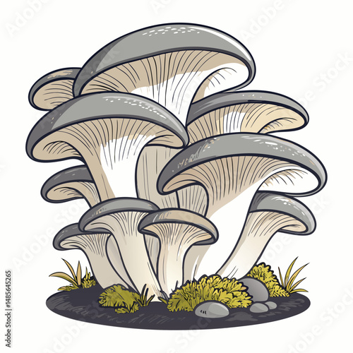 Photograph of multiple layers of oyster mushrooms, Pleurotus ostreatus, thriving in a natural, possibly wooded environment.  Show detail of their texture and growth pattern.