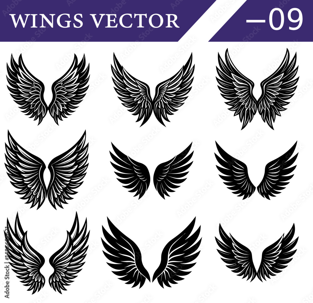 Fototapeta premium Black Wings Vector Pack for Tattoos – Gothic Feathered Angel and Devil Wing Silhouettes for Posters and Halloween Illustration Use.