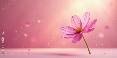 A Delicate Pink Cosmos Flower with Falling Petals on a Soft Pink Background