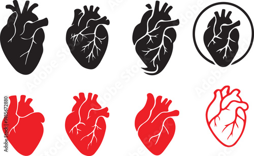 Human heart logo medical cardiology vector icon illustration on white background 