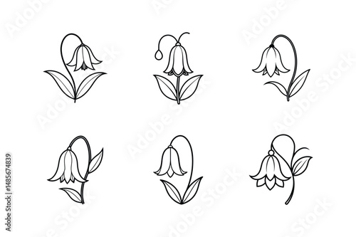 bluebell flower line art vector illustration