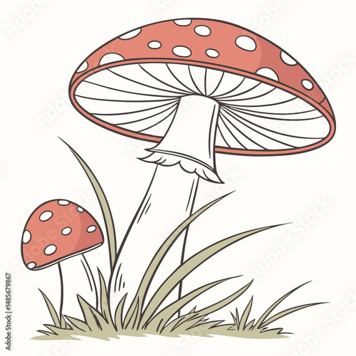 Red and white fly agaric mushrooms, a poisonous toadstool fungus, in green autumn grass, a nature illustration