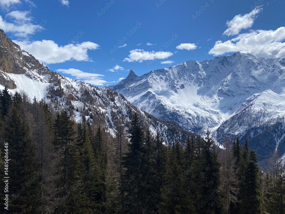 Fototapeta premium montagne