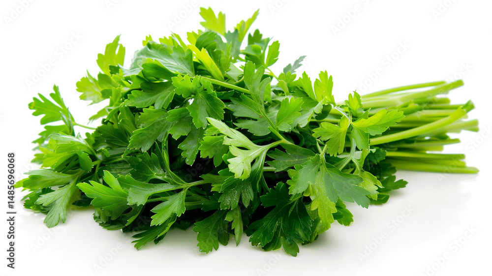 Fresh flat-leaf parsley bunch on a white background. A versatile and vibrant culinary herb. Fresh flat-leaf parsley bunch on a white background. A versatile and vibrant culinary herb.