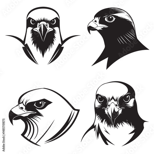 Peregrine Falcon bird face silhouette vector illustration set collection
