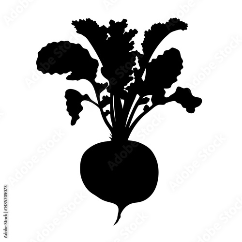 Black silhouette of beet root vegetable with leaves vector illustration for print and design