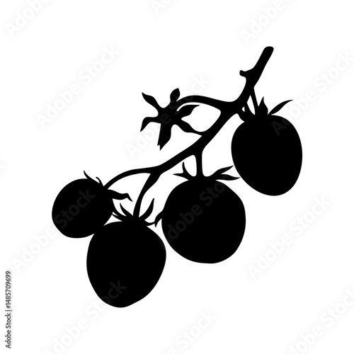 Silhouette cherry tomatoes on vine vector illustration ripe tomato plant gardening food design