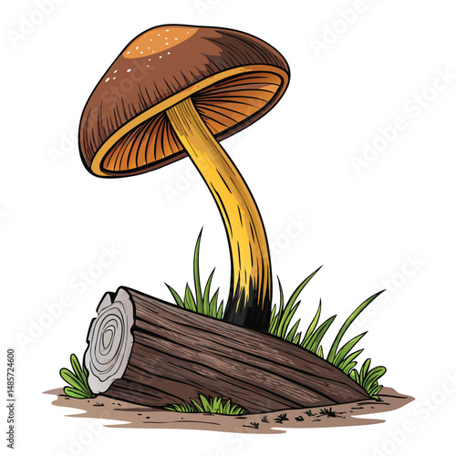 A detailed close-up of a velvety brown Stereum ostrea mushroom fruiting body, growing on decaying brown wood, showcasing its texture and color.