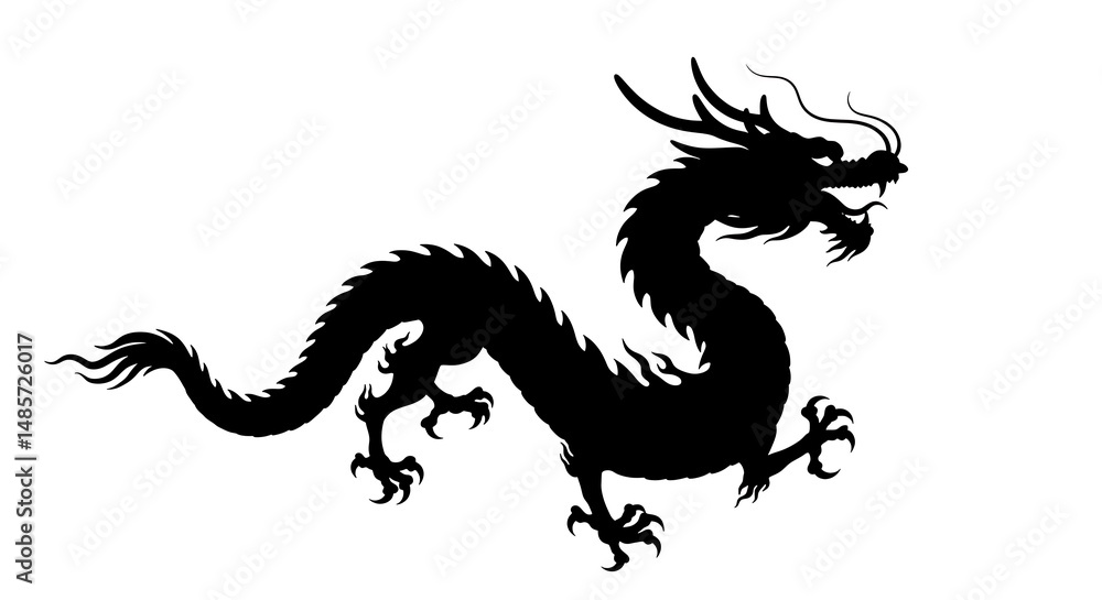 Obraz premium Shadow Dragon's Ascent