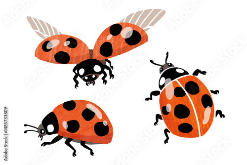 シンプルなテントウムシのベクターイラスト