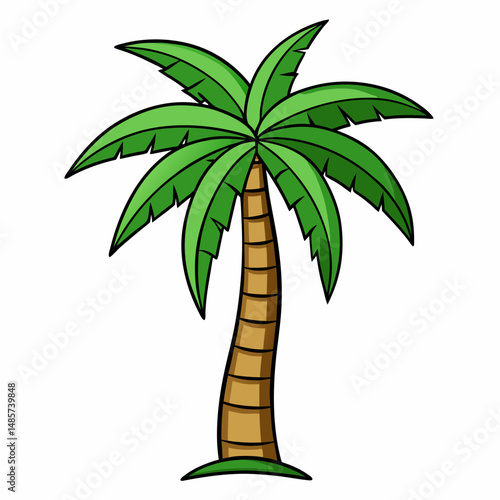 palm tree vector