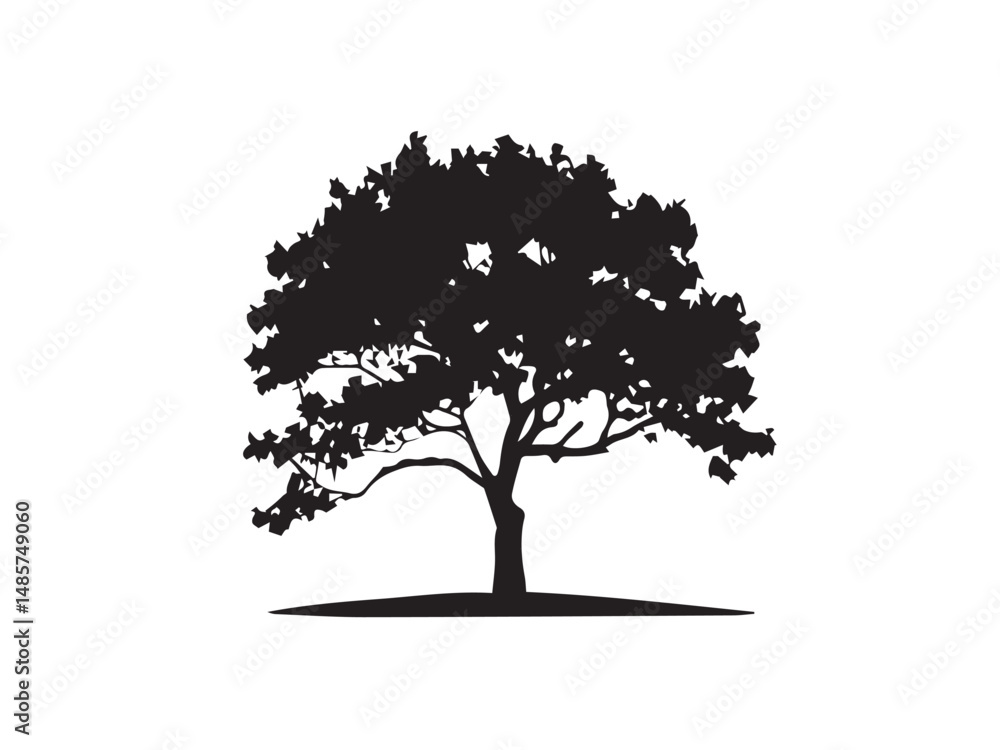 Fototapeta premium Tree silhouette. Black Tree silhouette on white background. Vector illustration.