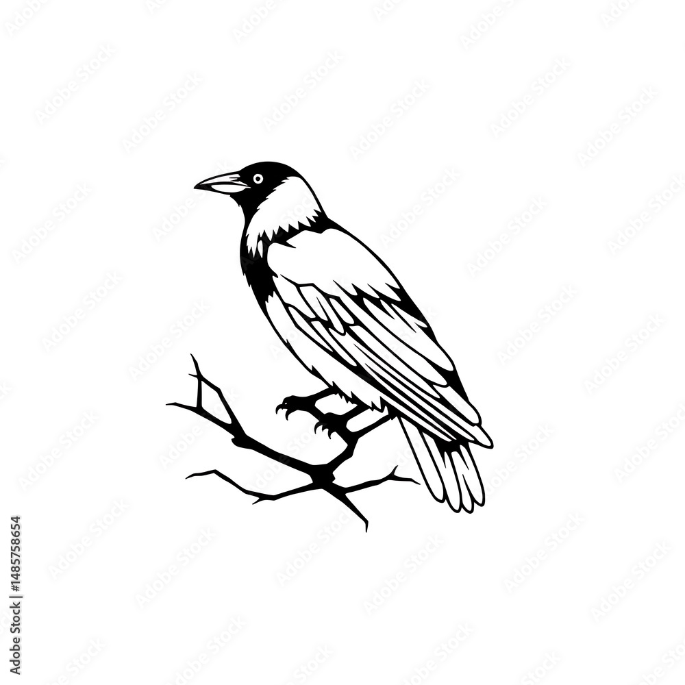 Obraz premium black and white crow line art vector