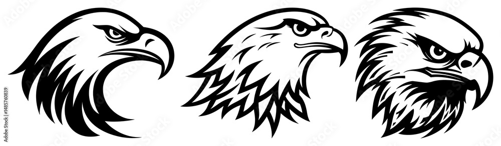 Fototapeta premium PNG Eagles eagle bird line transparent background.
