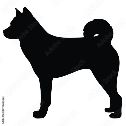 black Silhouette of spitz dog with upright ears and curled tail on white background Illustrator Artwork