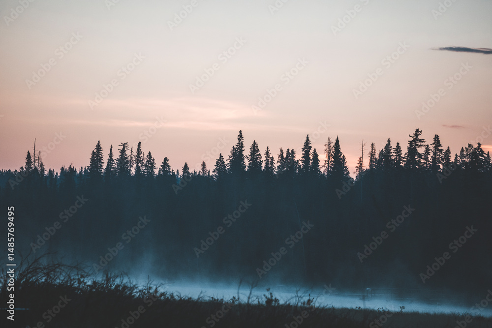 Obraz premium quiet and serene sunrise in a pond in alberta, canada, with moody forest and pastel pink sky surrounded by pine forest