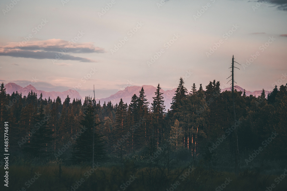 Naklejka premium morning hike at sunrise in canada, by a pine tree forest, with misty air and pastel colours, full moon and pale clouds in the sky, by the little quiet pond
