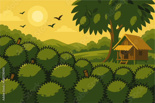 lots of durian fruit