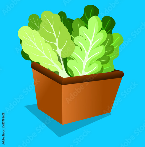 Turmip greens in busket Green Leafy Vegetables vector illustration,Romaine ,Komatsuna, fuyuna, uguisuna, Japanese mustard spinach, turnip leaf, turnip green, leafy green vegetables, winter vegetable
