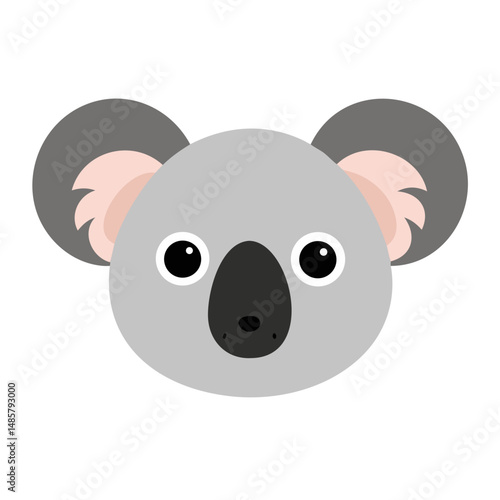 Koala: The Endearing Australian Marsupial