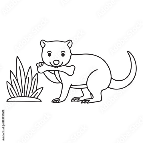 A Tasmanian devil chewing on a bone near a bush