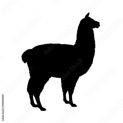 Llama silhouette – vector illustration