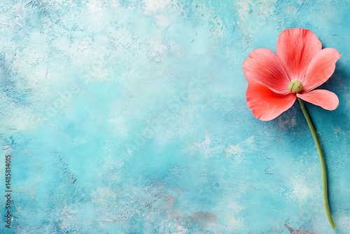 Poppy blossom on textured aquamarine background