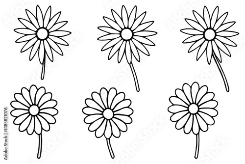 Daisy Blooming Grace Line art