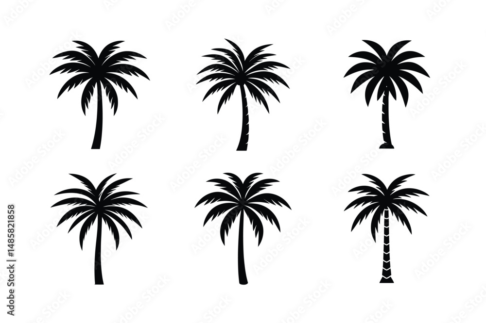 Fototapeta premium Palm Tree Paradise Graphic