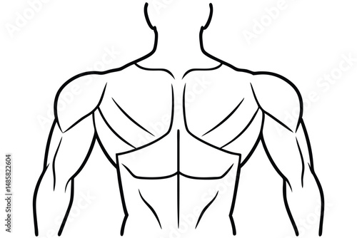 human body anatomy Line art Anatomical Reference Study Sheet