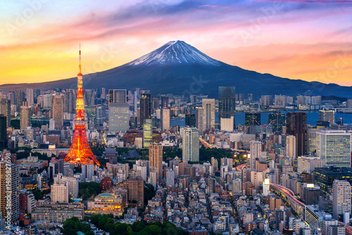 Aerial view of Tokyo cityscape with Fuji mountain in Japan.