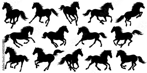 Set of horse silhouette in different poses - galloping, rearing, jumping. Hand drawn black horse isolated on white background. Vector illustration of decorative elements for design decor.