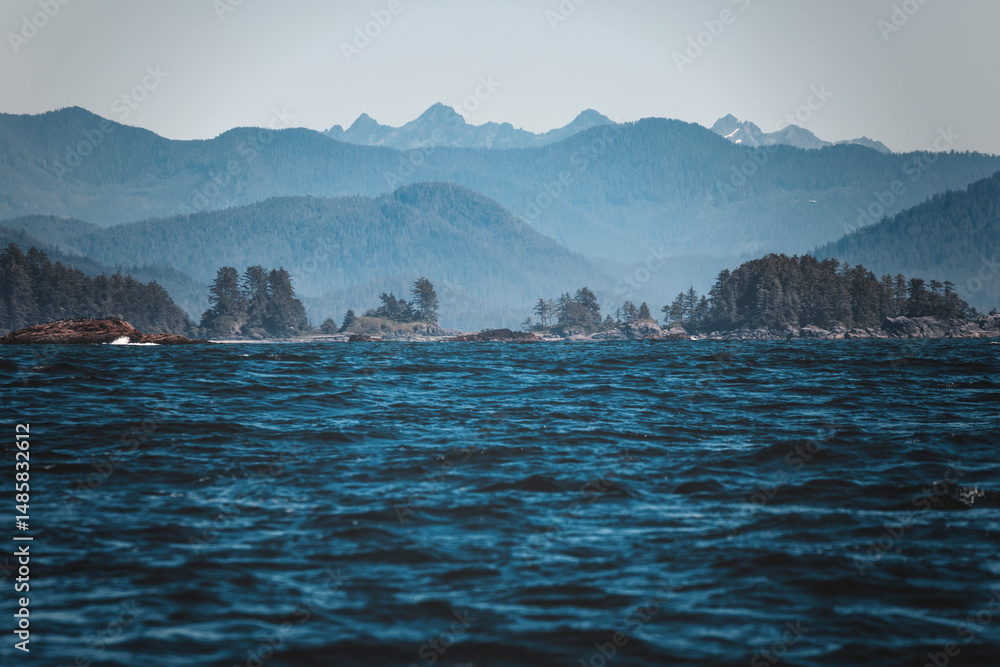 Obraz premium a wild day in tofino, vancouver island. summer clear day watching for sealife. bald eagles, sea otters, whales, killer whales around. sun is shining, the ocean waves are moving through the islandsc