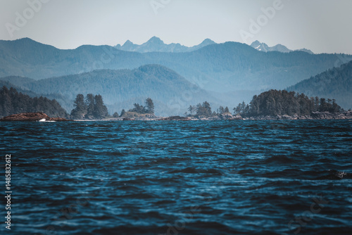 a wild day in tofino, vancouver island. summer clear day watching for sealife. bald eagles, sea otters, whales, killer whales around. sun is shining, the ocean waves are moving through the islandsc